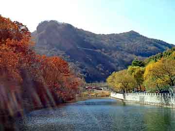 新澳天天开奖资料大全旅游团，天使只为星夜哭